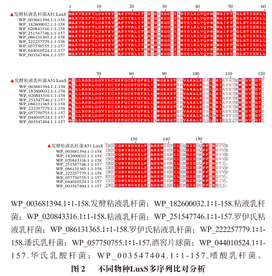 78fa159a994a92f6f3f78e7616c1fa51.png