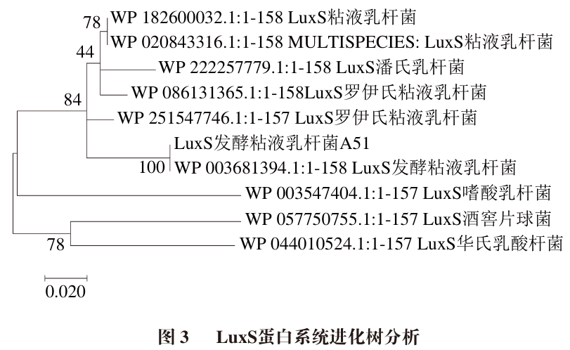0d25b11b4d985f8ce744fa86f71c7570.png